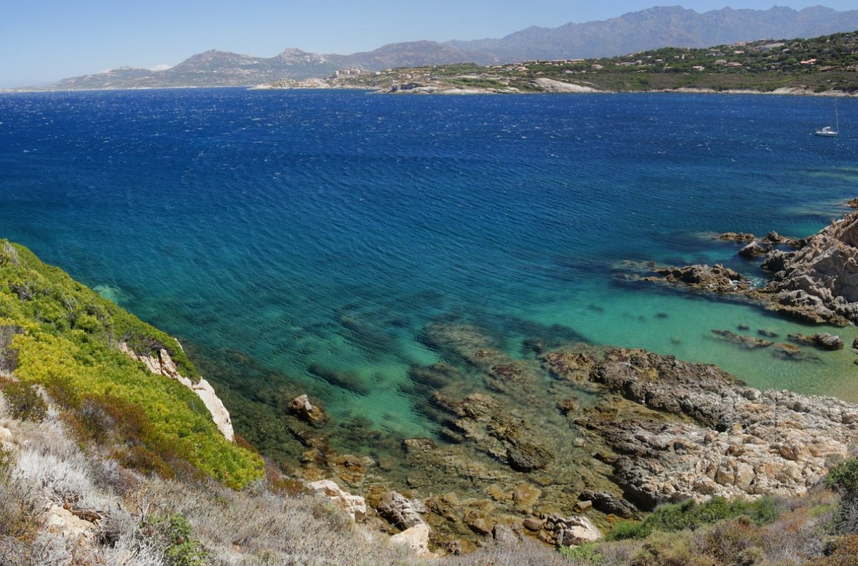 Corse